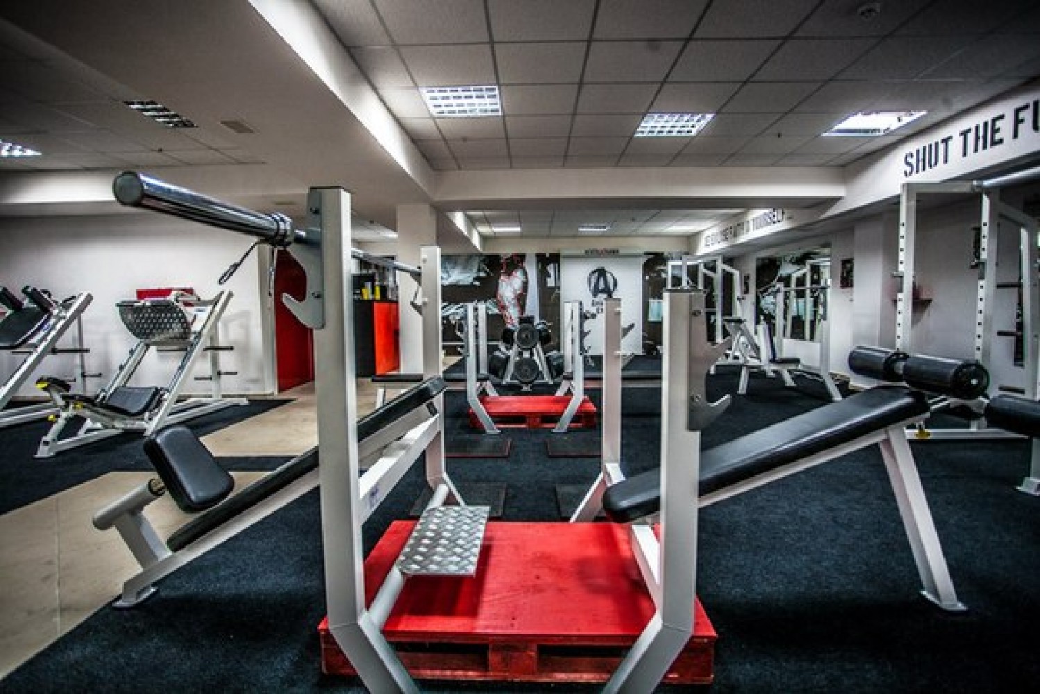 Animal Gym Ялта (пер.Дарсановский,10)